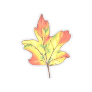 Maple Leaf - Transparent Stickers from Nature