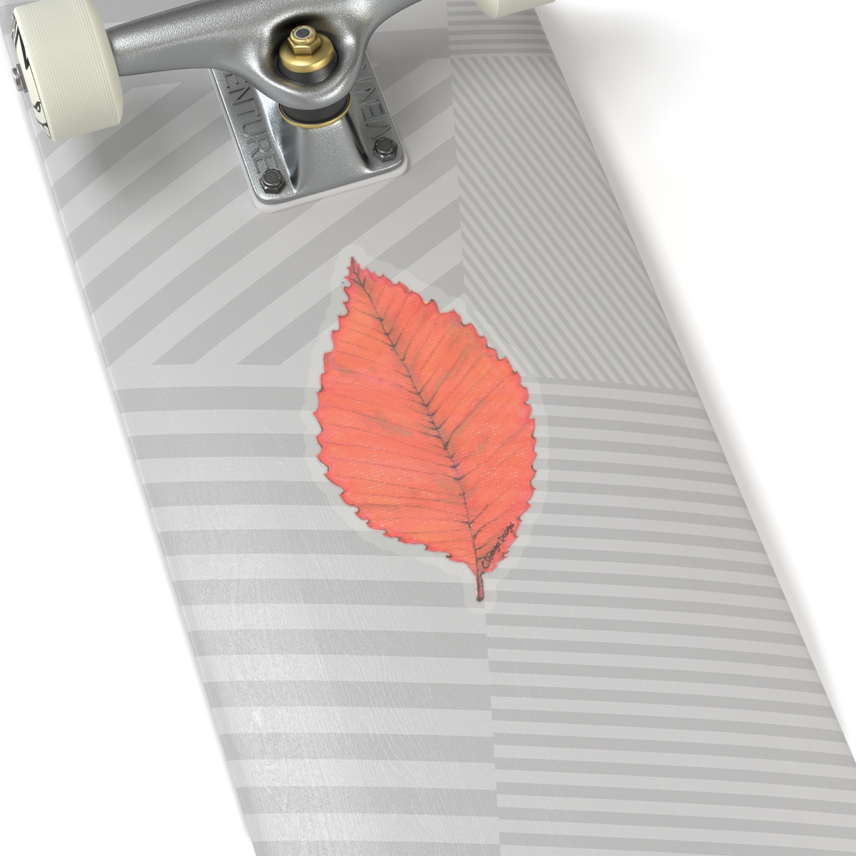 Beech Leaf - Transparent Stickers from Nature - Image 2